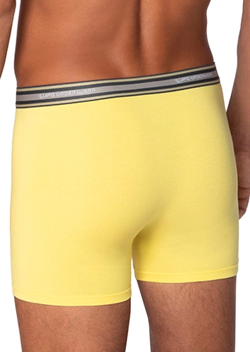 Cueca Boxer Lupo 523-003