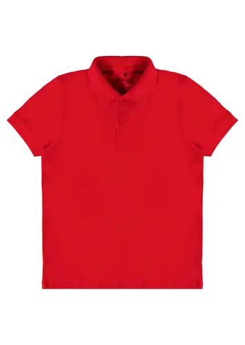 Camiseta Polo Infantil Menino Malwee 1000111119