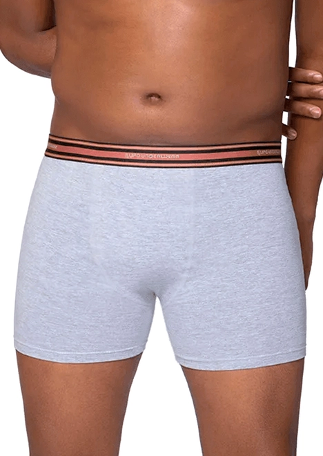 Cueca Boxer Plus Size Lupo 653-003