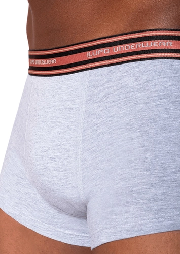 Cueca Sunga Lupo 460-003