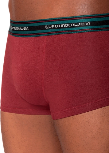 Cueca Sunga Lupo 460-003