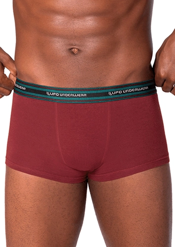 Cueca Sunga Lupo 460-003