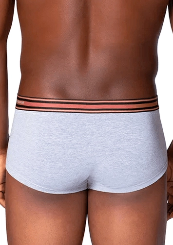 Cueca Sunga Lupo 460-003
