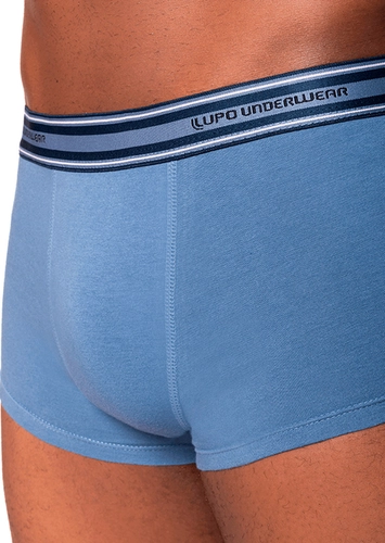Cueca Sunga Lupo 460-003