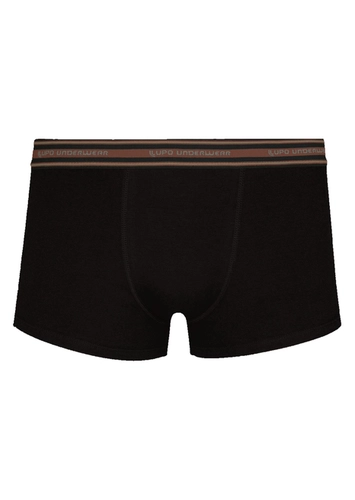 Cueca Sunga Lupo 460-003