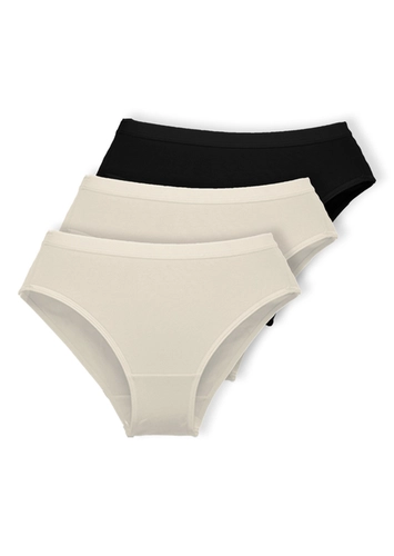 Kit com 3 Calcinhas Alta Lithos Demillus 26014/56014
