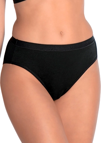 Kit com 4 Calcinhas Alta Lithos Demillus 26014/56014