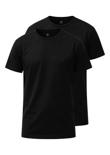 Kit com 2 Camisetas Masculina Hering 0299