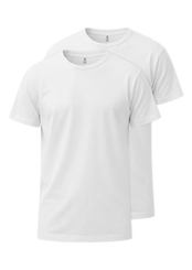 Kit com 2 Camisetas Masculina Hering 0299