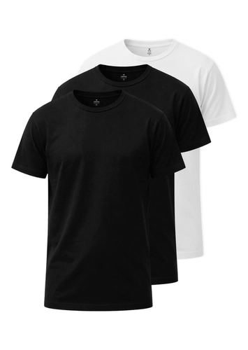 Kit com 3 Camisetas Masculina Hering 0299