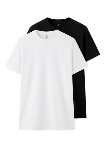Kit com 2 Camisetas Masculina Hering 0201