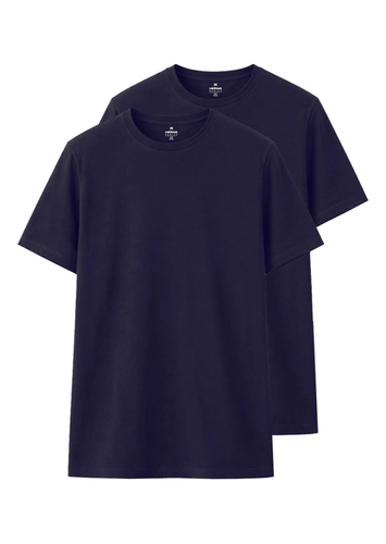 Kit com 2 Camisetas Masculina Hering 0201