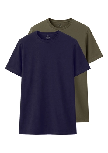 Kit com 2 Camisetas Masculina Hering 0201