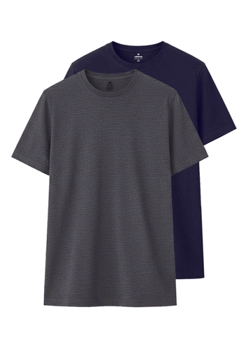 Kit com 2 Camisetas Masculina Hering 0201