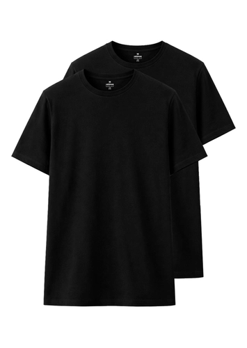 Kit com 2 Camisetas Masculina Hering 0201