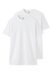 Kit com 2 Camisetas Masculina Hering 0201
