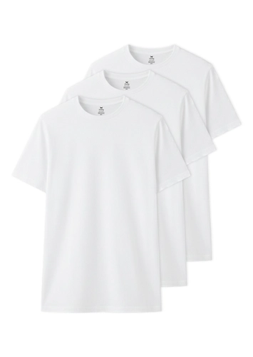 Kit com 3 Camisetas Masculina Hering 0201