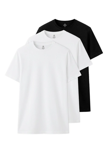 Kit com 3 Camisetas Masculina Hering 0201