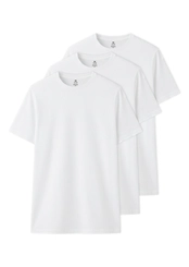 Kit com 3 Camisetas Masculina Hering 0201