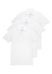 Kit com 3 Camisetas Polo Masculina Malwee 1000004425