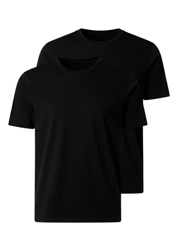 Kit com 2 Camisetas Masculina Hering 0227