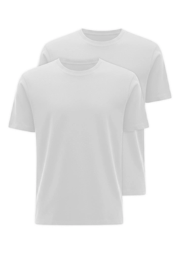 Kit com 2 Camisetas Masculina Hering 0227