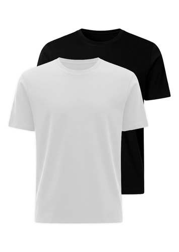 Kit com 2 Camisetas Masculina Hering 0227