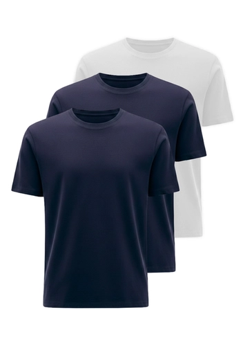 Kit com 3 Camisetas Masculina Hering 0227