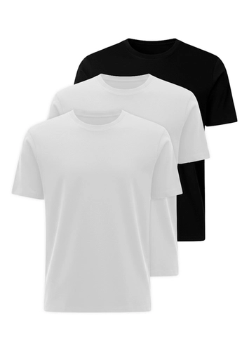 Kit com 3 Camisetas Masculina Hering 0227
