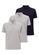 Kit com 3 Camisetas Polo Masculina Hering N3a7