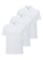 Kit com 3 Camisetas Polo Masculina Hering N3a7