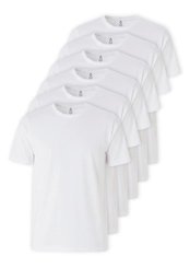 Kit com 6 Camisetas Masculina Hering 4fv2