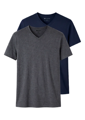 Kit com 2 Camisetas Masculina Hering 022b