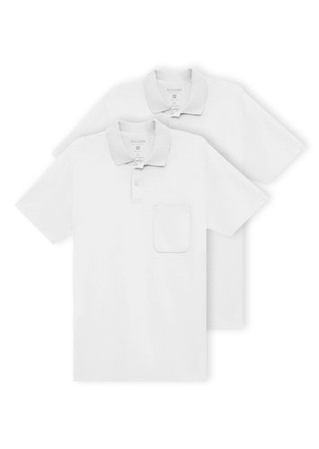 Kit com 2 Camisetas Polo Masculina Malwee 1000004429