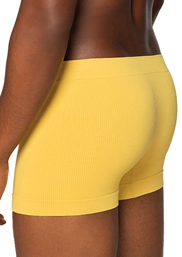 Cueca Boxer Lupo 766-019