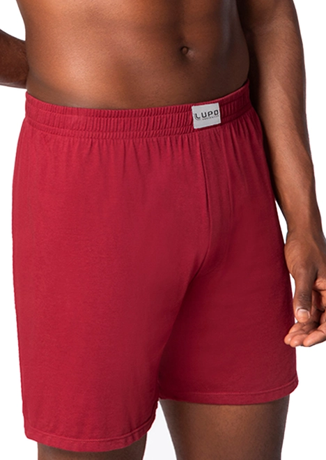 Cueca Samba Canção Lupo 18611-001