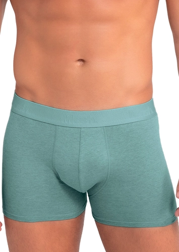 Cueca Boxer Mash 170.117