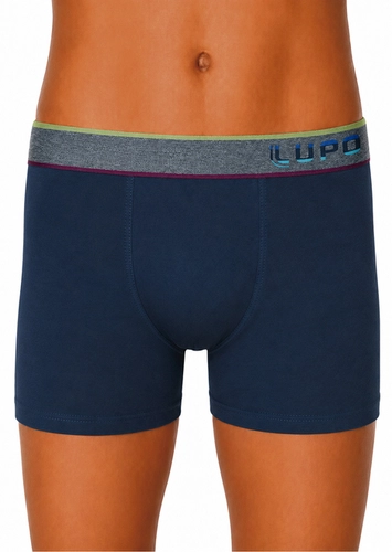 Cueca Infantil Boxer Lupinho 151-011