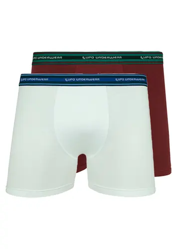 Kit com 2 Cuecas Boxer Lupo 523-003