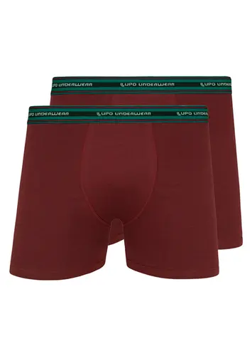 Kit com 2 Cuecas Boxer Lupo 523-003