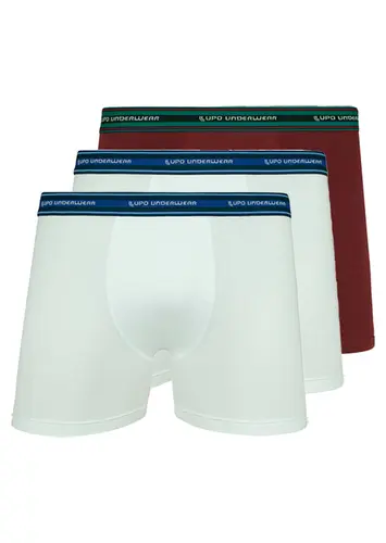 Kit com 3 Cuecas Boxer Lupo 523-003