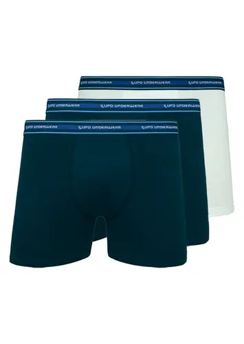 Kit com 3 Cuecas Boxer Lupo 523-003