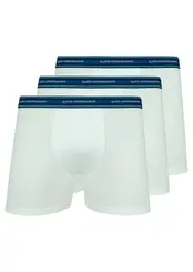 Kit com 3 Cuecas Boxer Lupo 523-003