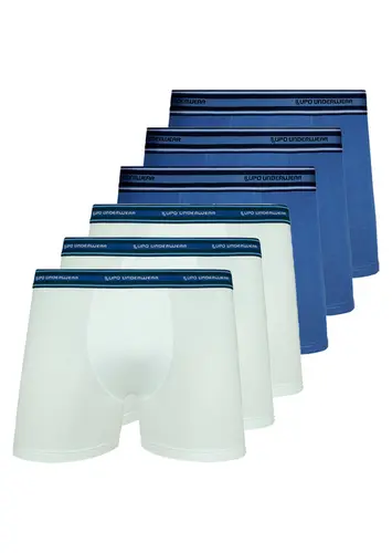 Kit com 6 Cuecas Boxer Lupo 523-003