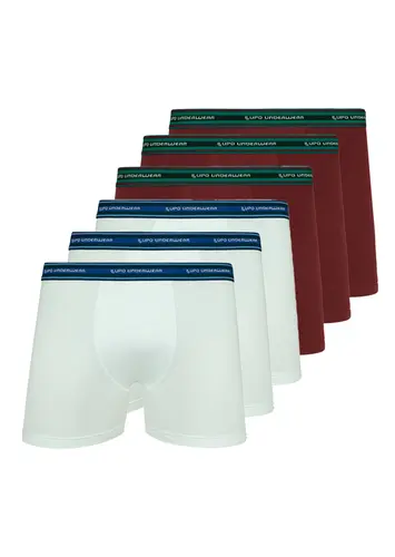 Kit com 6 Cuecas Boxer Lupo 523-003