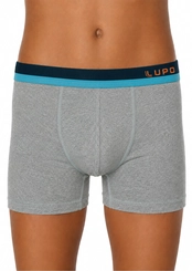 Cueca Infantil Boxer Lupinho 151-012