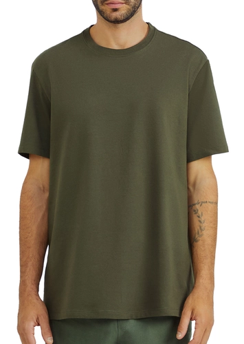 Kit com 2 Camisetas Masculina Hering 0227