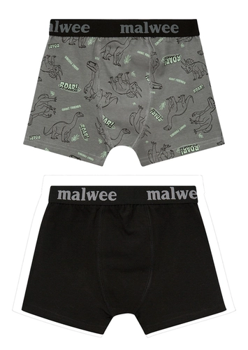 Kit com 2 Cuecas Infantil Boxer Malwee 1000126756
