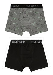 Kit com 2 Cuecas Infantil Boxer Malwee 1000126756