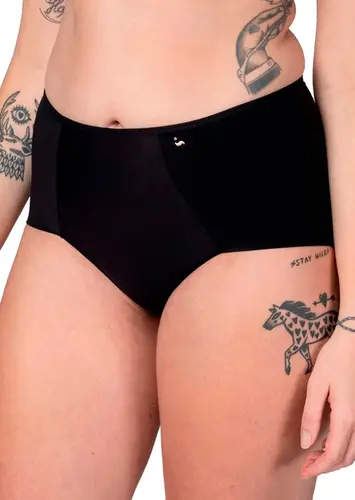 Kit com 3 Calcinhas Alta Liz 50395